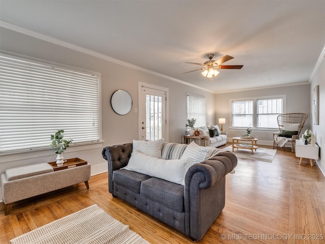 living room featuring ceiling fan, light wood-type flooring, and crown molding