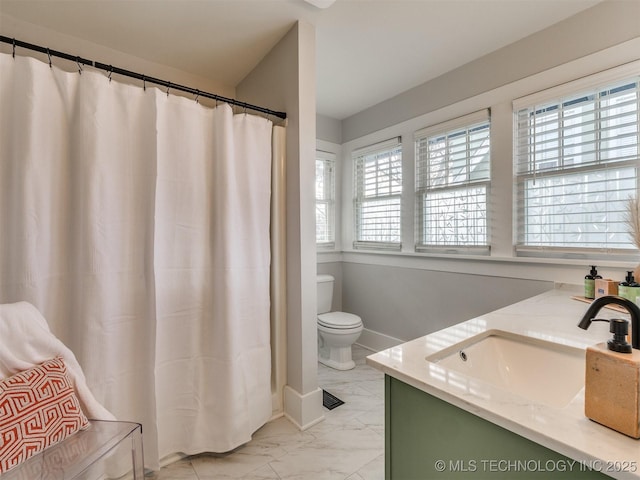 bathroom with toilet and vanity