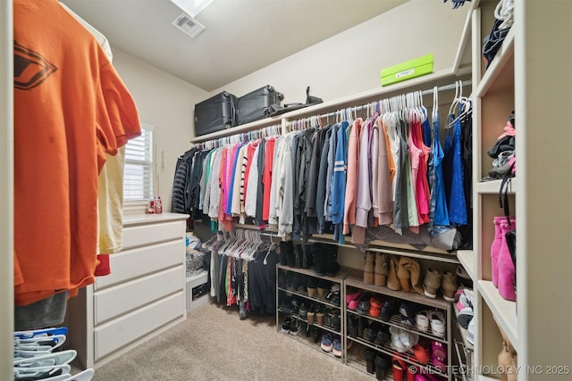 spacious closet with light colored carpet