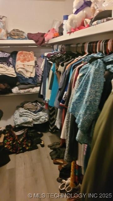 spacious closet with wood-type flooring