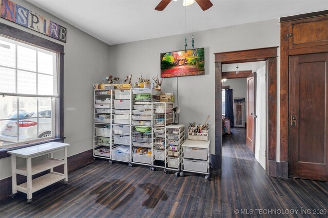 storage area with ceiling fan