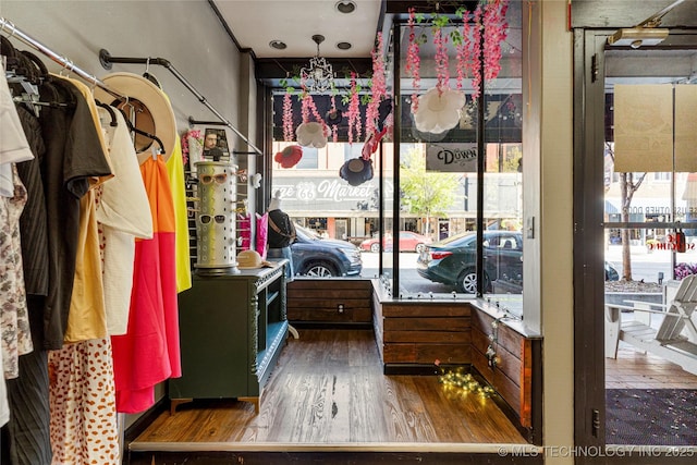 walk in closet with wood-type flooring