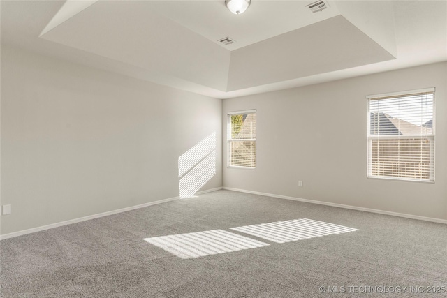 spare room featuring a tray ceiling and carpet