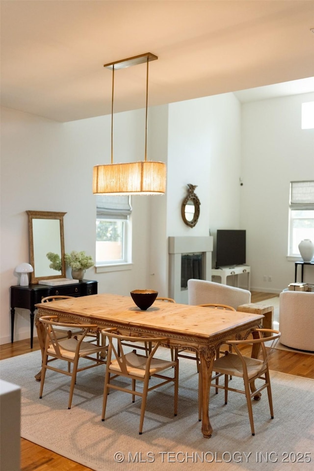 dining area featuring hardwood / wood-style flooring