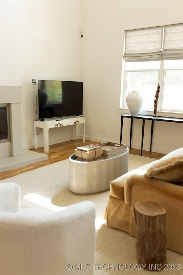 living room with wood-type flooring