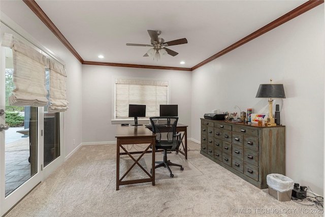 carpeted office with ceiling fan and crown molding