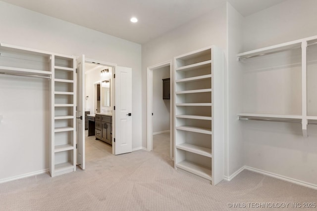 223 W 172nd St S, Mounds, OK 74047 - walk in closet with light carpet