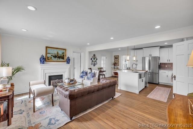 living room with crown molding, light hardwood / wood-style flooring, and sink