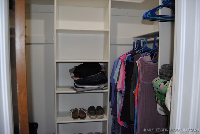 view of closet