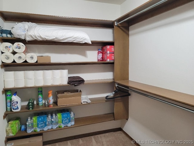 spacious closet featuring light carpet