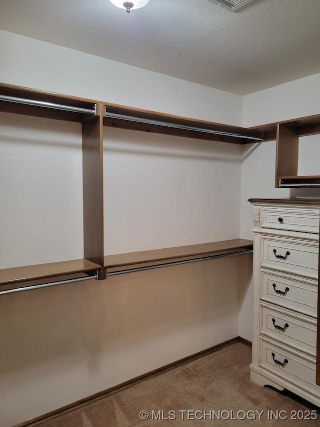 walk in closet featuring carpet floors