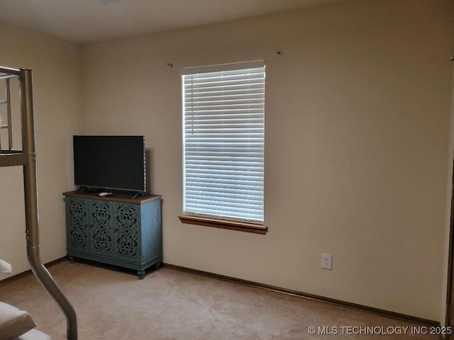 interior space with light carpet