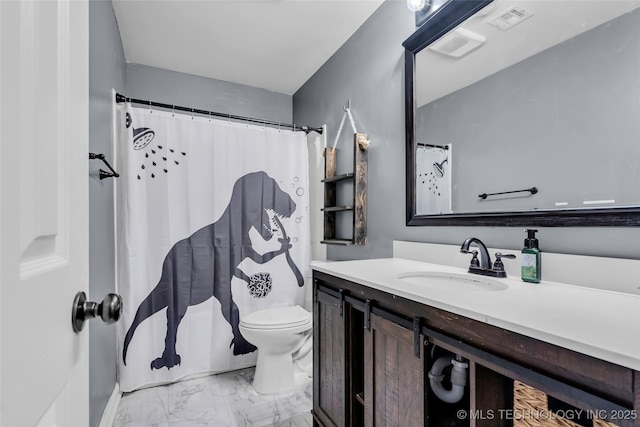 bathroom with toilet and vanity