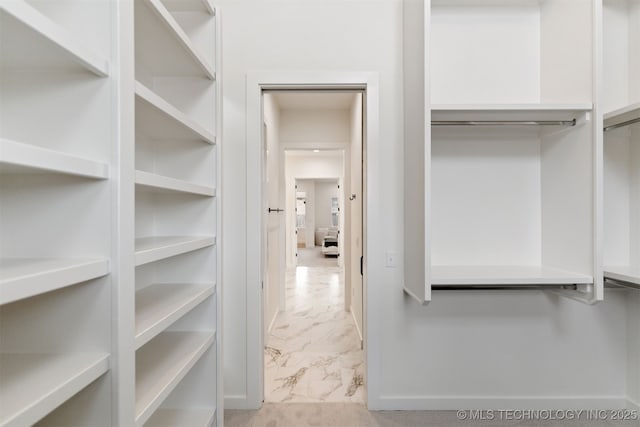 view of spacious closet