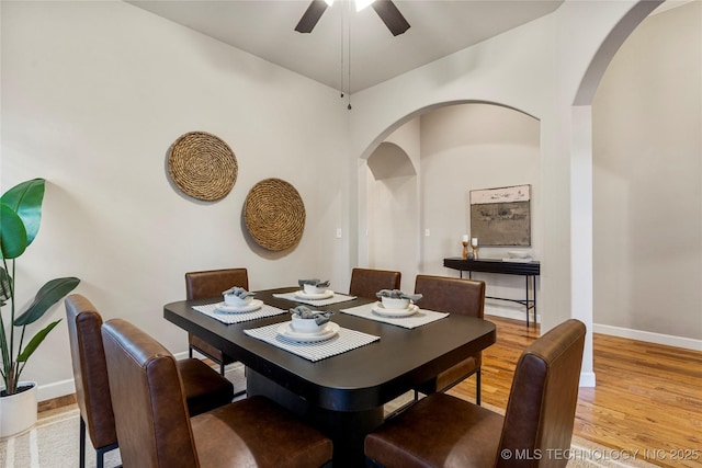 dining room with ceiling fan and light hardwood / wood-style flooring