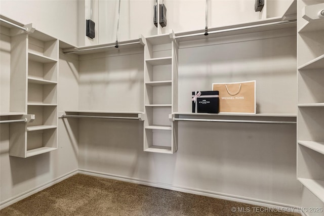 spacious closet with carpet