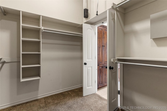 spacious closet featuring carpet