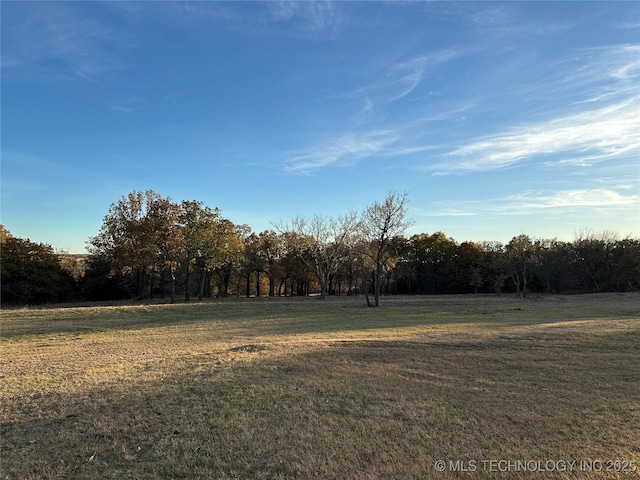 view of yard with a rural view