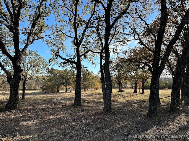 view of local wilderness