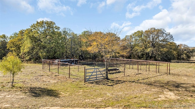 view of yard featuring a rural view