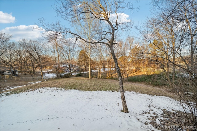 view of yard layered in snow