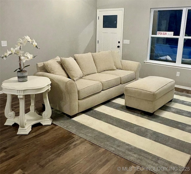 living room featuring wood-type flooring