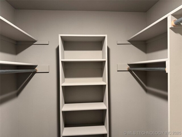 view of spacious closet