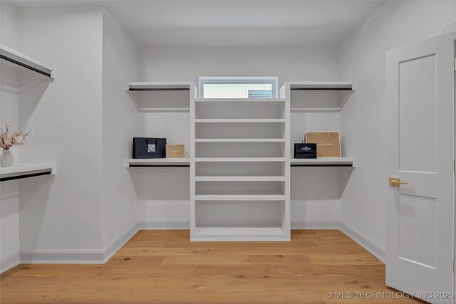 spacious closet with wood-type flooring