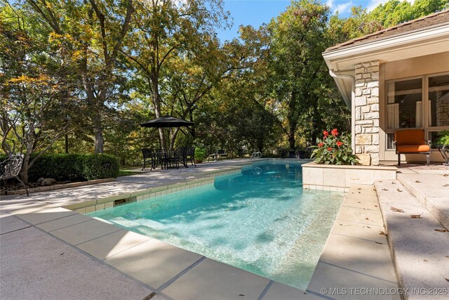 view of pool with a patio area