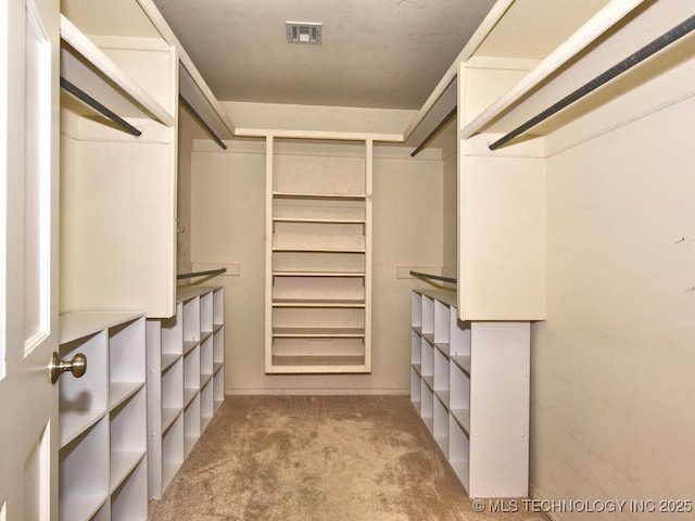 walk in closet with light colored carpet