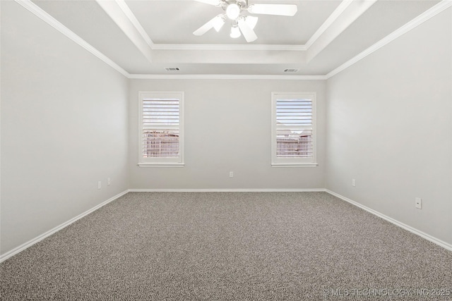 spare room featuring a raised ceiling, ceiling fan, and plenty of natural light