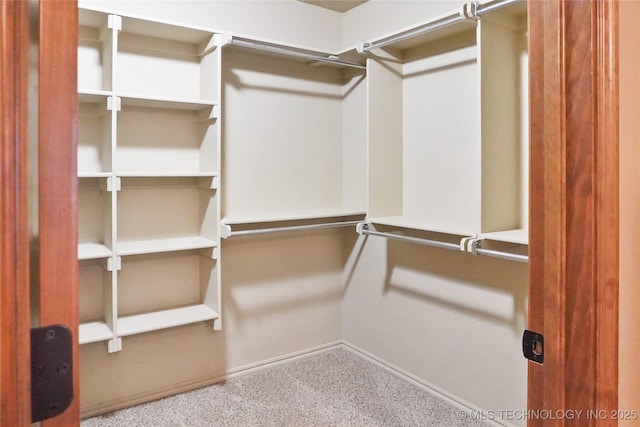 spacious closet featuring carpet