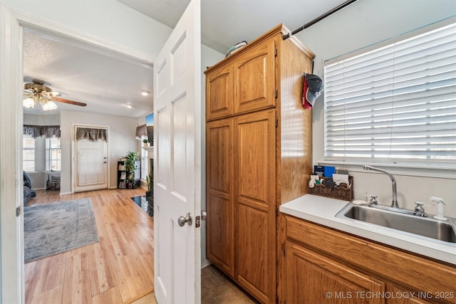 kitchen with sink, ceiling fan, and light hardwood / wood-style floors