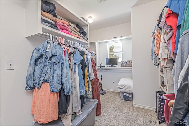 spacious closet with light carpet