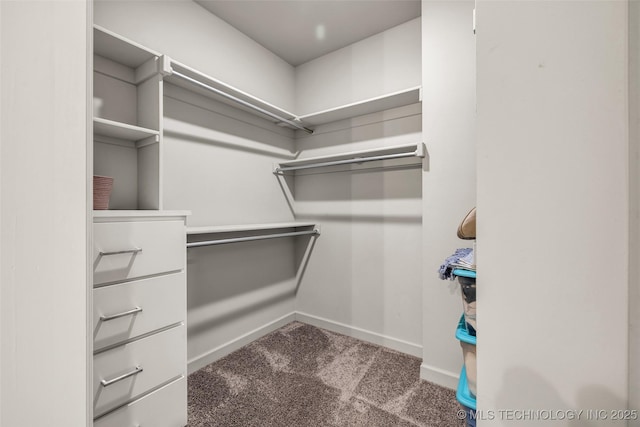 spacious closet featuring dark colored carpet