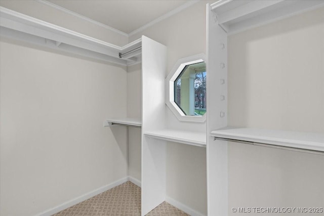 view of walk in closet