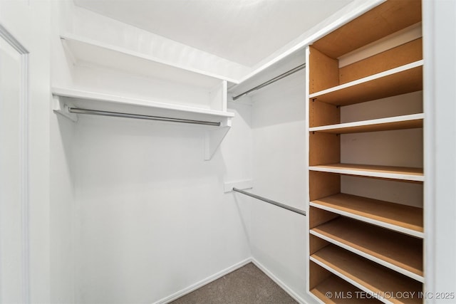 walk in closet featuring carpet flooring