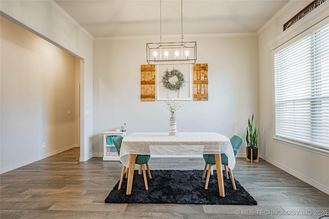 dining room featuring crown molding and hardwood / wood-style floors