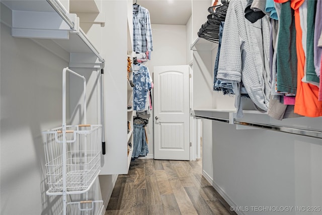 walk in closet with wood-type flooring