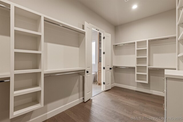 spacious closet featuring wood-type flooring