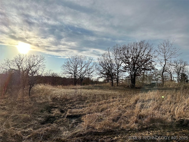 view of local wilderness featuring a rural view