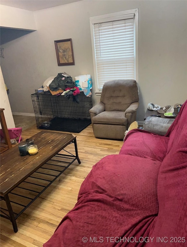 living room with wood-type flooring