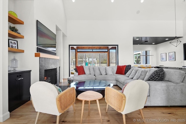 living room with light hardwood / wood-style flooring