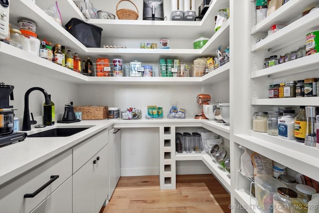 pantry with sink