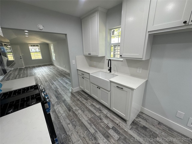 kitchen featuring wood-type flooring, white cabinets, and sink