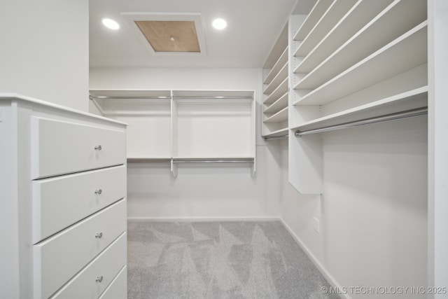 walk in closet featuring light colored carpet