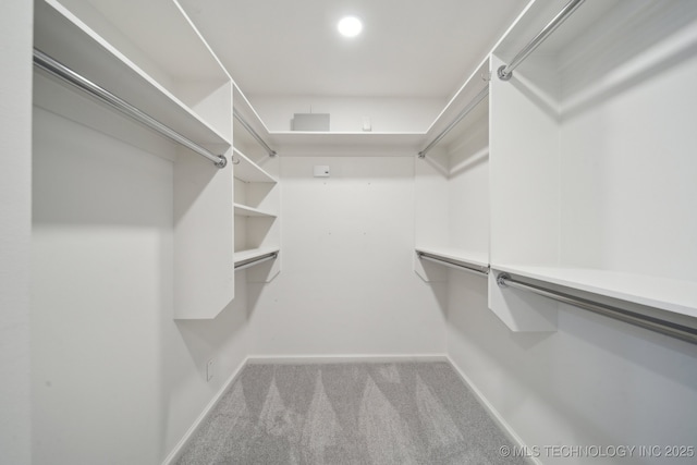 walk in closet featuring light carpet