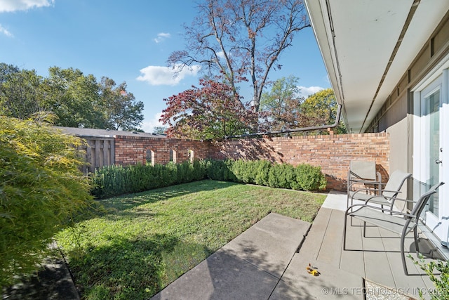 view of yard with a patio area