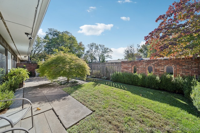 view of yard featuring a patio