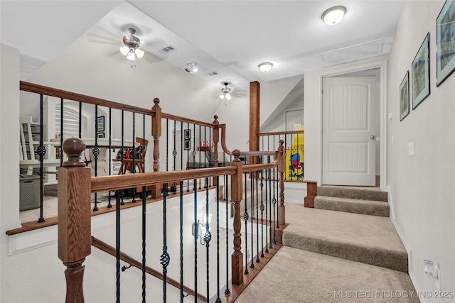 stairs featuring ceiling fan and carpet